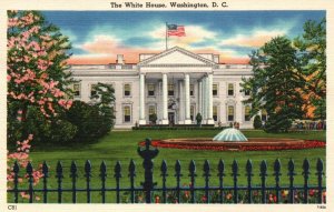 Vintage Postcard White House Lawn Washington D.C.