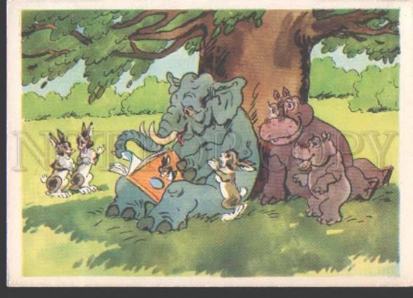 114183 ELEPHANT HARES HIPPOPOTAMUS Old Funny Russian PC