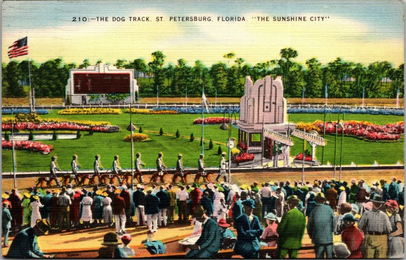 Vtg St Petersburg Florida FL Dog Track from Grandstands 1940s Linen Postcard