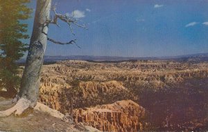 Panorama of Bryce Canyon National Park, Utah - View from Rim Drive