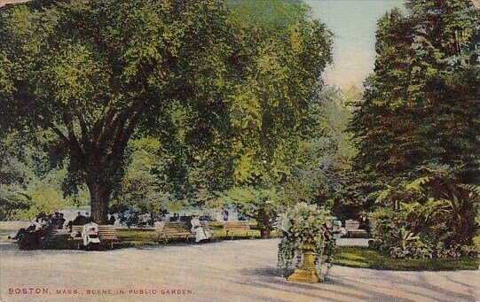 Scene In Public Garden Boston Massachusetts