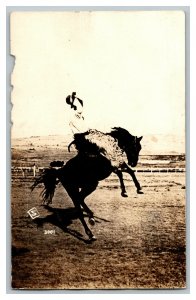 Postcard WY Bucking Bronco Cowboy Vintage Standard View RPPC 