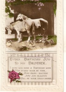 Horses at the watering hole. Birthday message Old vintage English postcard