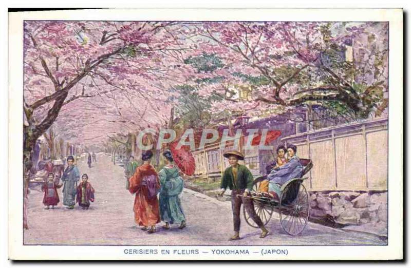 Old Postcard Japan Nippon Cherry blossoms Yokohama