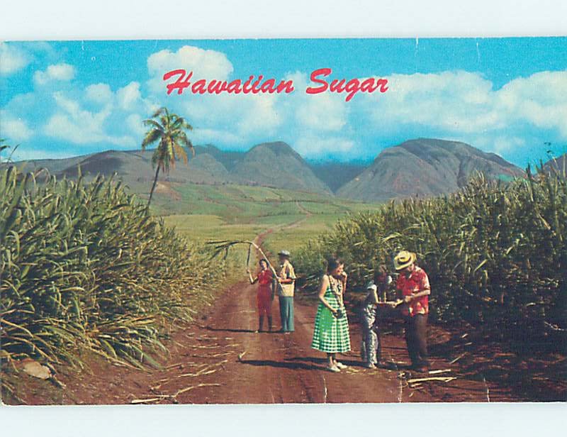 Pre-1980 SUGAR FIELDS State Of Hawaii HI AD3318