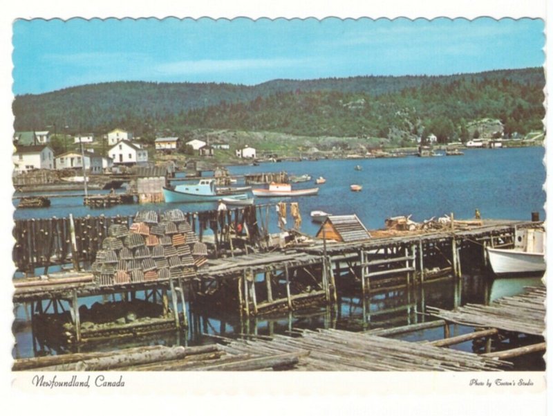 Roberts Arm, Notre Dame Bay, Newfoundland, Chrome Postcard