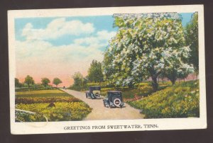 GREETINGS FROM SWEETWATER TENNESSEE OLD CARS VINTAGE POSTCARD