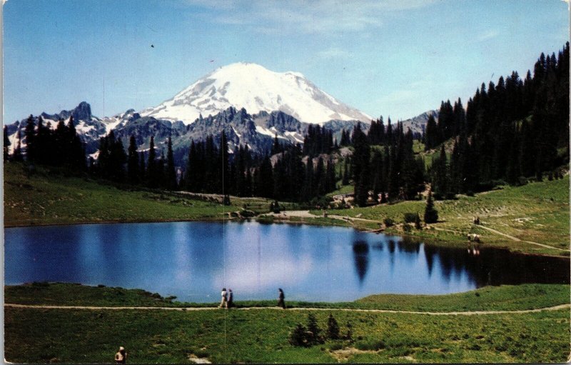 VINTAGE POSTCARD MOUNT RANIER & TIPSU LAKE WASHINGTON