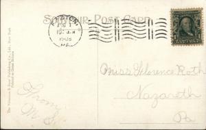 Easton PA Walter Island c1910 Postcard