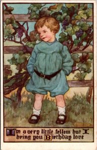 Very Little Fellow Brings Birthday Love Tucks 811 Field & Flowers Postcard V64