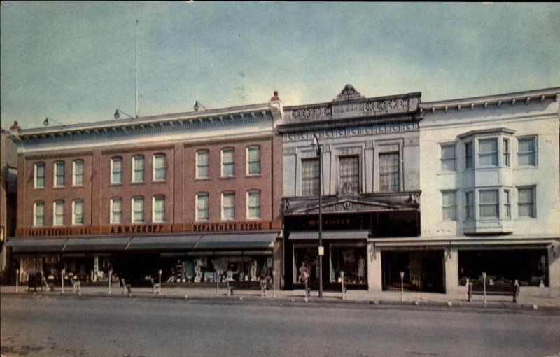 Stroudsburg Pennsylvania PA Wyckoff Department Store Vintage Postcard