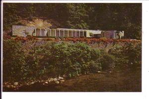 Christmas Gardens, Gatlinburg, Tennessee