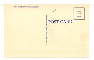 TN - Roan Mountain. Sunrise