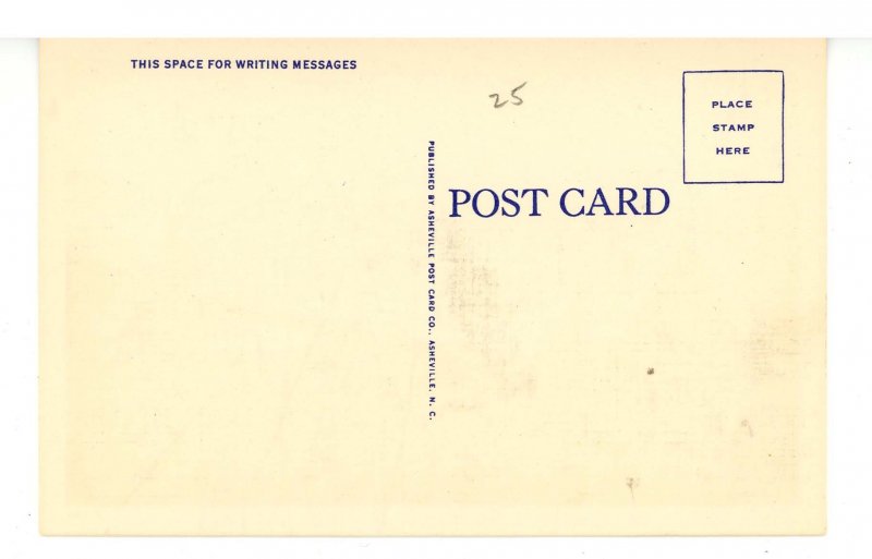 TN - Roan Mountain. Sunrise