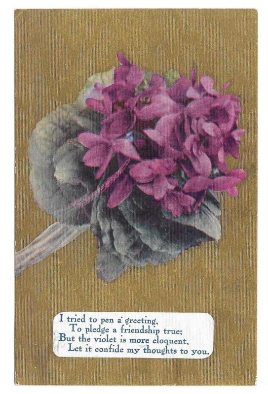 Motto Friendship Poem Postcard Flowers Violets on Gold Moire