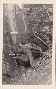 New York Panama Eagles Claw Panama Rocks Real Photo