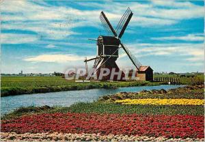 CPM Holland Land of Flowers and Windmill Moulin a vent