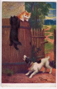 Dog with Cats on a Fence