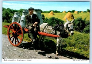 Delivering Milk to the Creamery donkey & cart IRELAND 4x6 Postcard