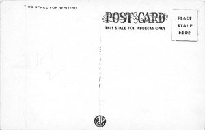 New York City NY c1910 Postcard Washington Bridge