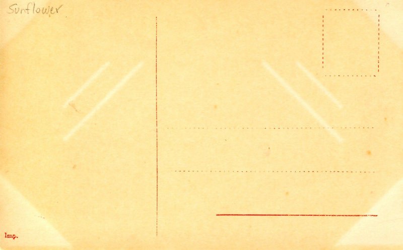 Sculpture - Sunflower    (Ebbe)    *RPPC