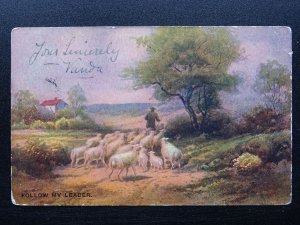 Country Life SHEPHERD & SHEEP Follow The Leader c1905 Postcard by Hildesheimer