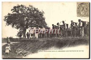 Old Postcard Folklore Wine Vineyard Harvest in the Libourne The hood wearers TOP