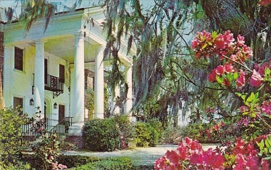 South Carolina Charleston Boone Hall Plantation 1970