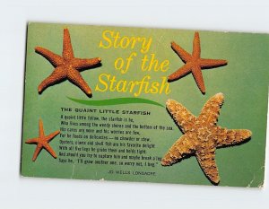 Postcard Story of the Starfish