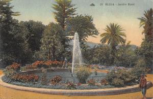 BR45524 Jardin Bizot Blida algeria