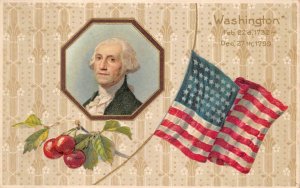 GEORGE WASHINGTON FLAG CHERRIES EMBOSSED PATRIOTIC POSTCARD (c. 1910) 152