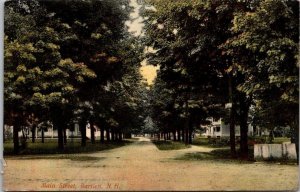 Residences on Main Street, Bartlett NH c1908 Vintage Postcard R62