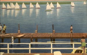 Little Egg Harbor New Jersey Barnegat Sneakbox Race c1930-50s Vintage Postcard