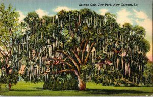 Suicide Oak City Park New Orleans LA Louisianna CT Art Colortone Postcard UNP 