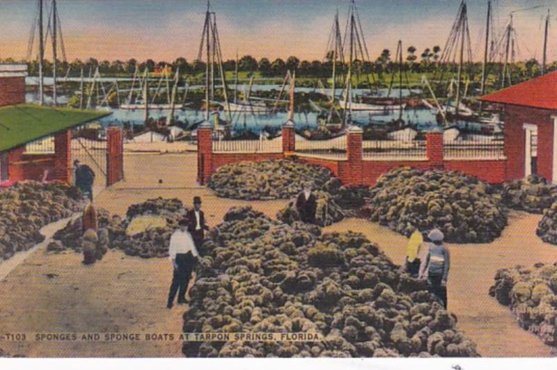 Florida Tarpon Springs Sponges and Sponge Boats