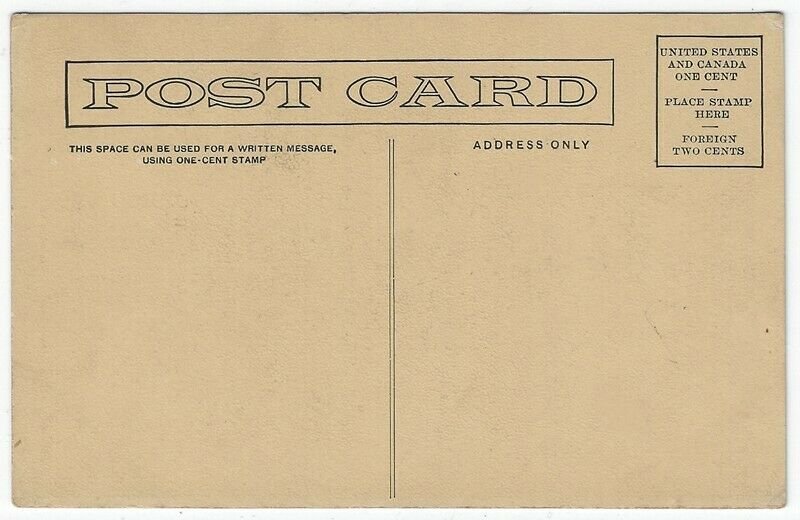 1907 Cowboy/Western Postcard, Holding My Own