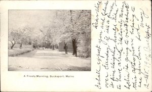 Bucksport Maine Frosty Morning Street Scene Storm c1900-20s Vintage Postcard