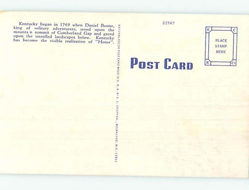 Linen black americana postcard HM9009