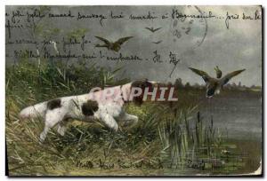 Postcard Old Hunting Dog Ducks