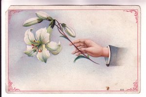 Greeting Postcard Hand Reaching Lilly, Used 1910 Nova Scotia Split Ring Cancels