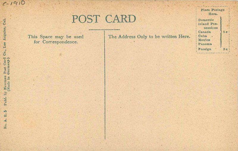 C-1910 High School Douglas Arizona Newman postcard 1432 
