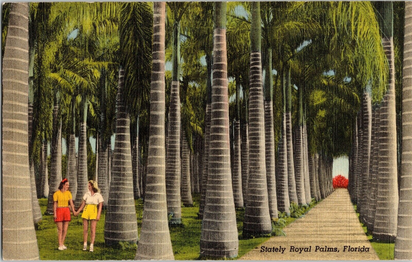 Stately Royal Palms Florida Linen Postcard Mckee Jungle Garden Deland ...