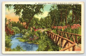 Walk Along Trout Stream At Blue Hole Spring Castalia Ohio, Linen Postcard P1