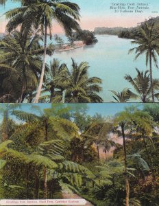 Greetings From Jamaica Giant Fern Blue Hole 2x Old Postcard s