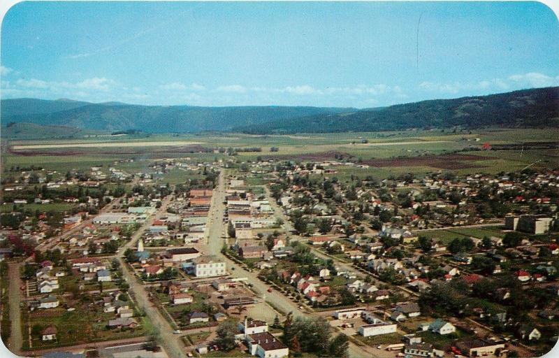 Vintage Postcard; Town View Grangeville ID on US 95, Idaho County, Unposted