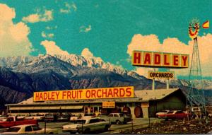 California Cabozon Hadley's Fruit and Nut Orchards