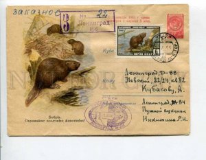 294798 USSR 1960 Komarov Protect useful animals beavers registered Leningrad RPC