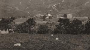 RPPC Farms, Mines, and Cattle - Barbosa, Antioquia, Colombia