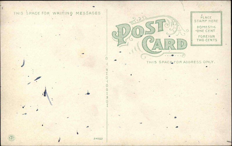 Warren Ohio OH Masonic Temple Masons Fraternal Organization c1910 Postcard