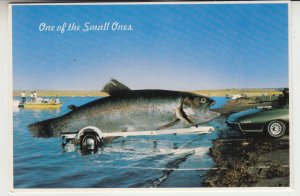 P2512, vintage postcard fishing a small one on boat trailer, the big one got awa